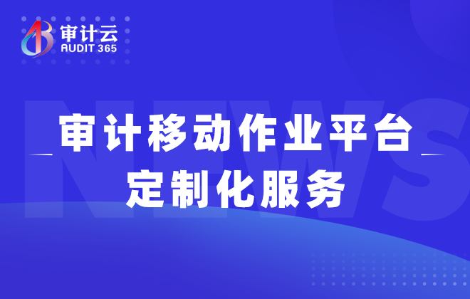 审计移动作业平台定制化服务