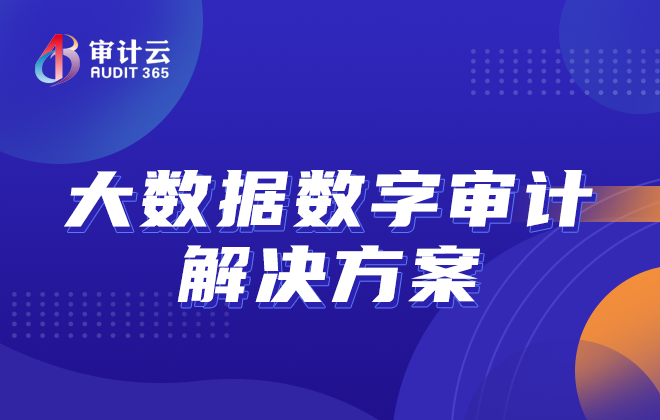 大数据数字审计解决方案