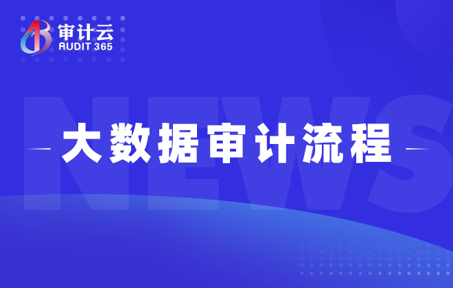 大数据审计流程