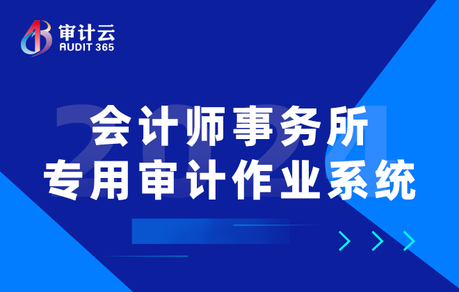 会计师事务所专用审计作业系统