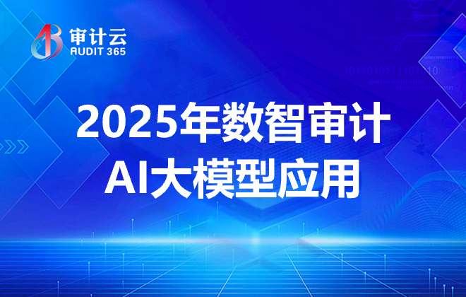 2025年数智审计AI大模型应用