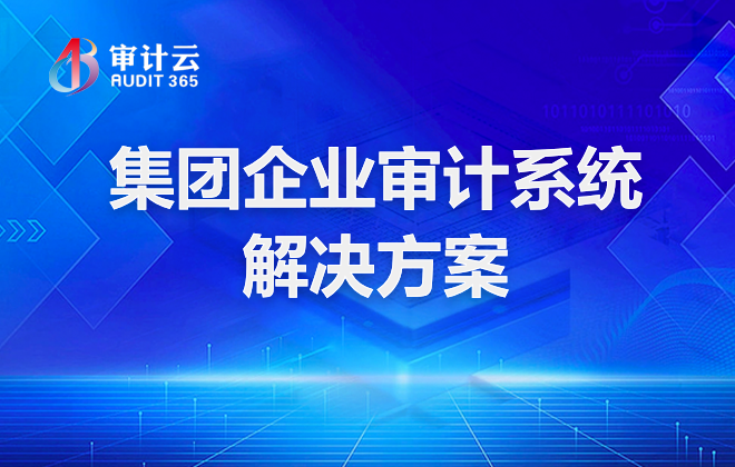 集团企业审计系统解决方案