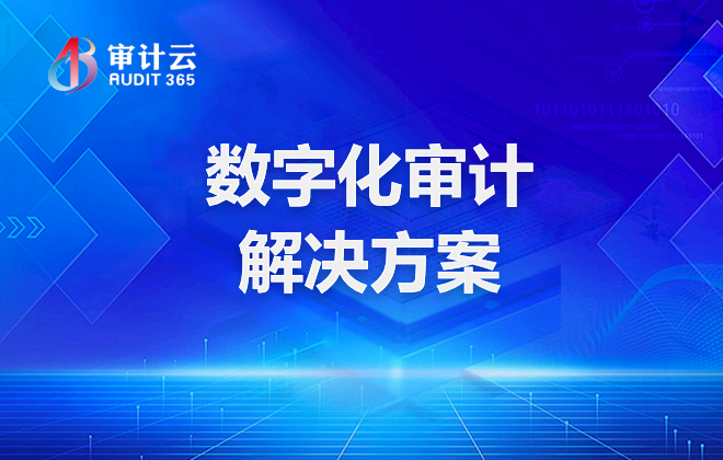 数字化审计