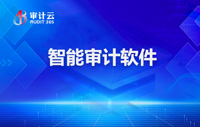 智能审计软件