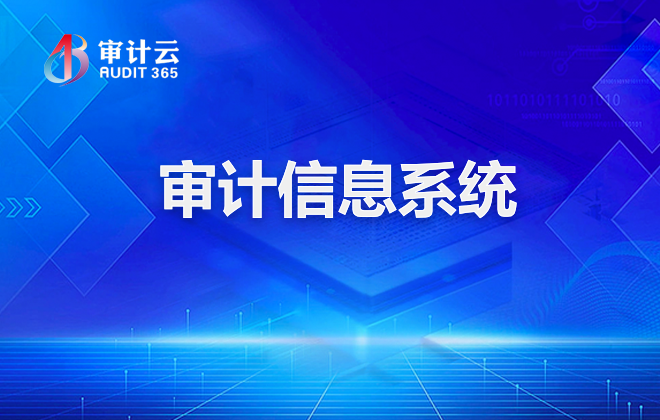审计信息系统
