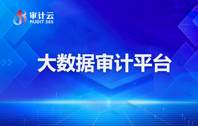 大数据审计平台