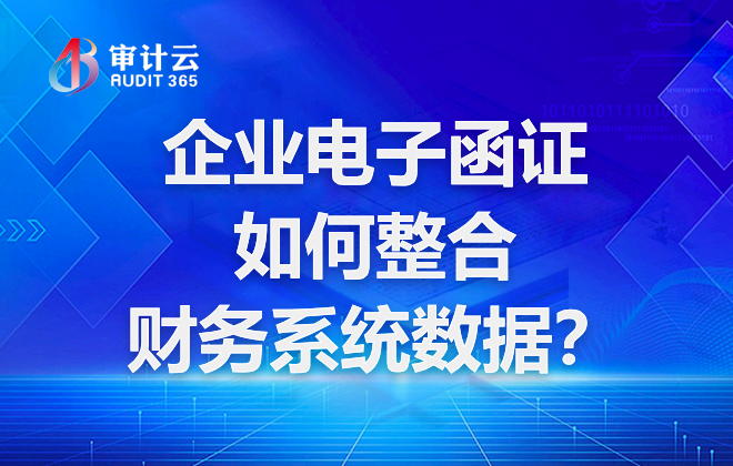 企业电子函证