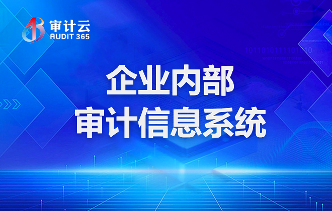 企业内部审计信息系统