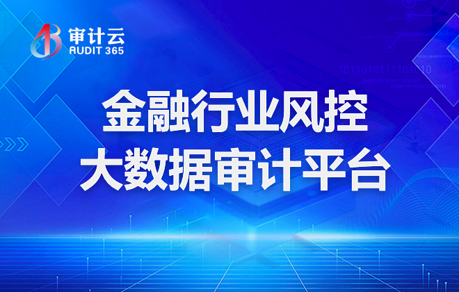 大数据审计平台
