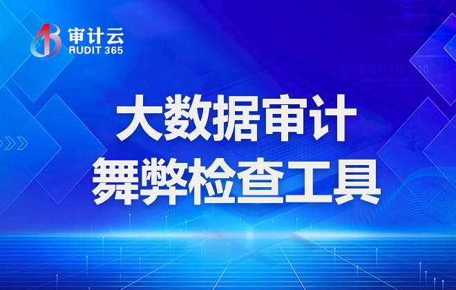 大数据审计舞弊检查工具