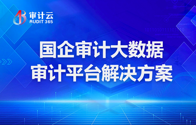  国企审计大数据审计平台解决方案