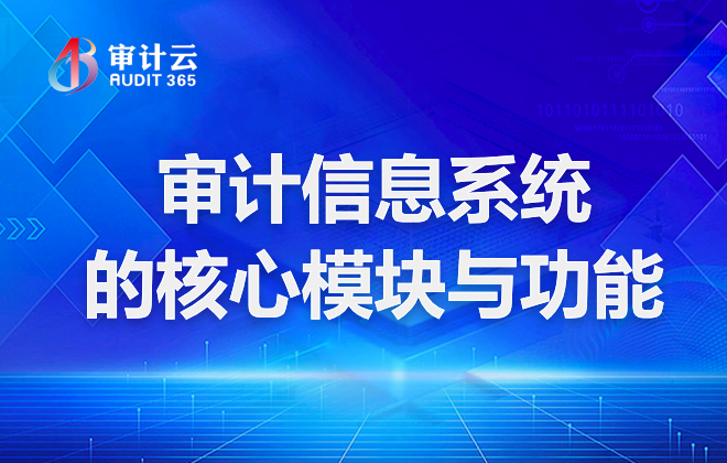 审计信息系统