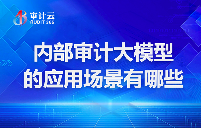 内部审计大模型