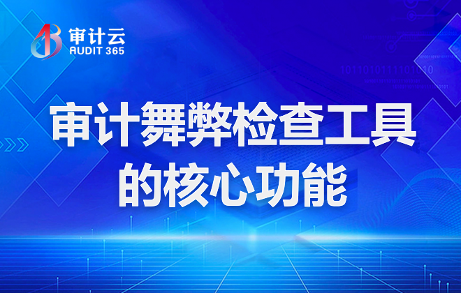 审计舞弊检查工具