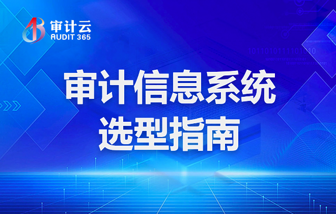 审计信息系统