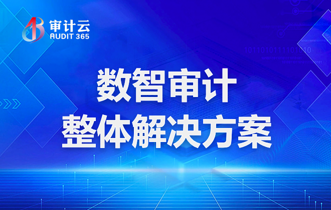数智审计整体解决方案