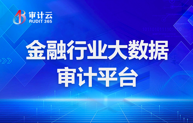 大数据审计平台