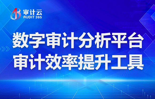 数字审计分析平台