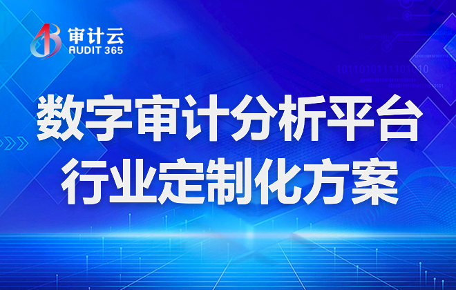 数字审计分析平台