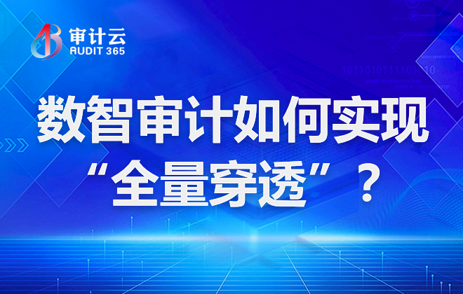 数智审计