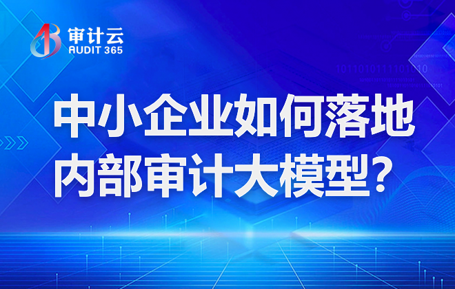 内部审计大模型
