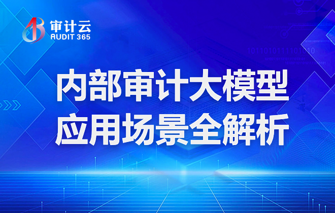 内部审计大模型