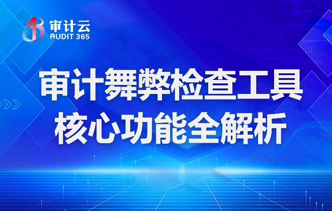 审计舞弊检查工具
