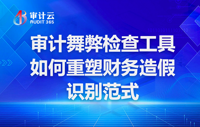 审计舞弊检查工具