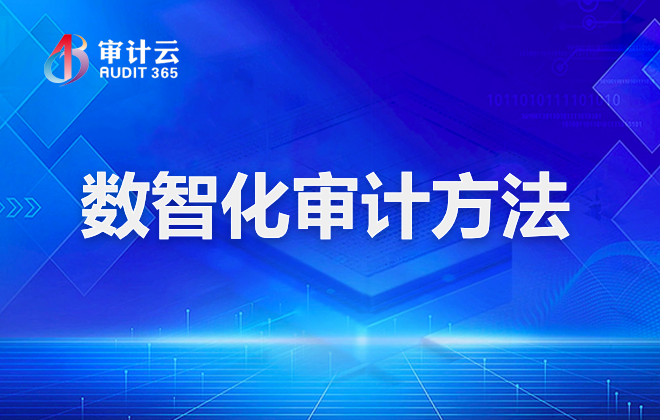 数智化审计