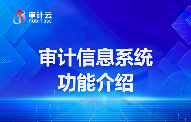 审计信息系统