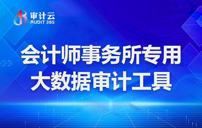 会计师事务所专用大数据审计工具