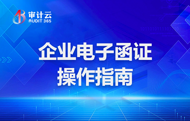 企业电子函证操作指南