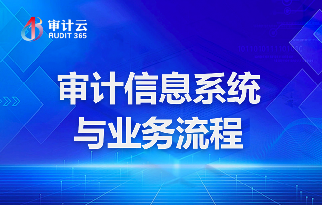 审计信息系统