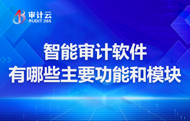 智能审计软件