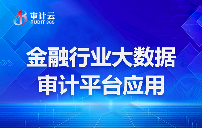 大数据审计平台