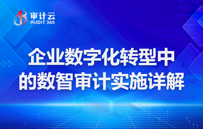 数智审计
