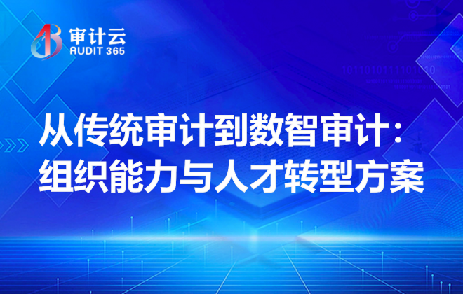 数智审计