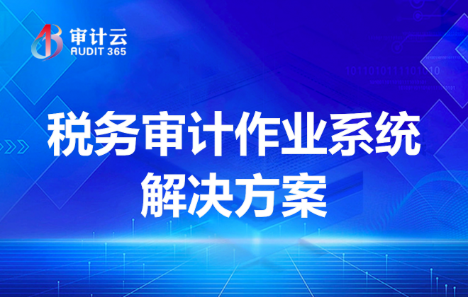 税务审计作业系统解决方案