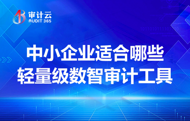 中小企业适合哪些轻量级数智审计工具