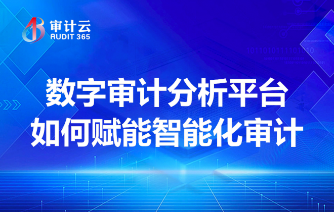 数字审计分析平台