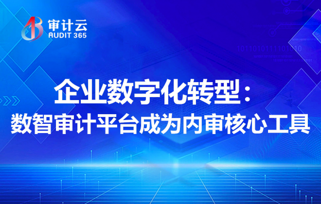 数智审计