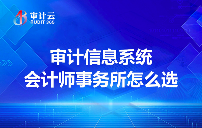 审计信息系统
