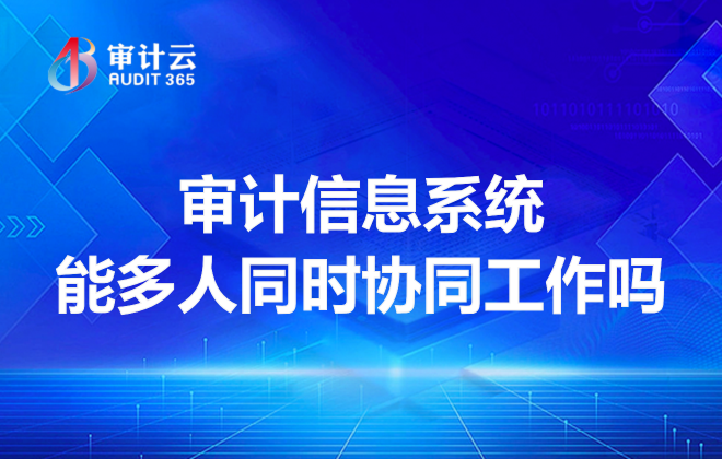 审计信息系统