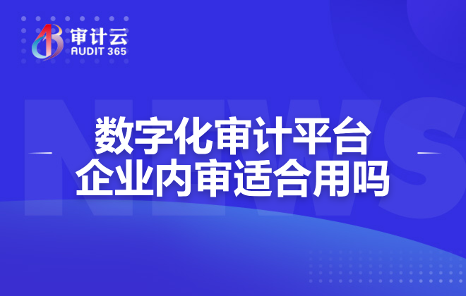 数字化审计平台