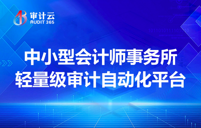 中小型会计师事务所轻量级审计自动化平台