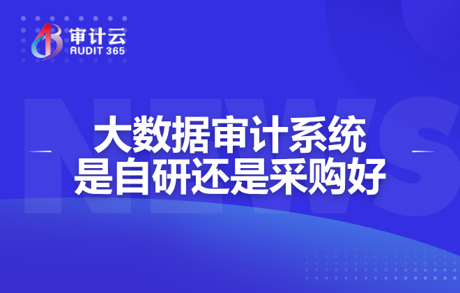 大数据审计系统是自研还是采购好