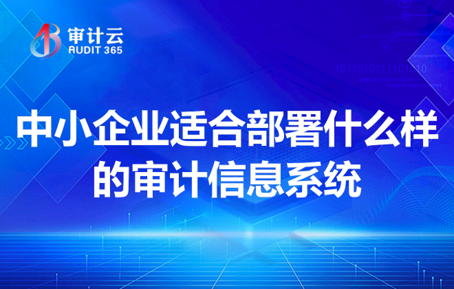 审计信息系统