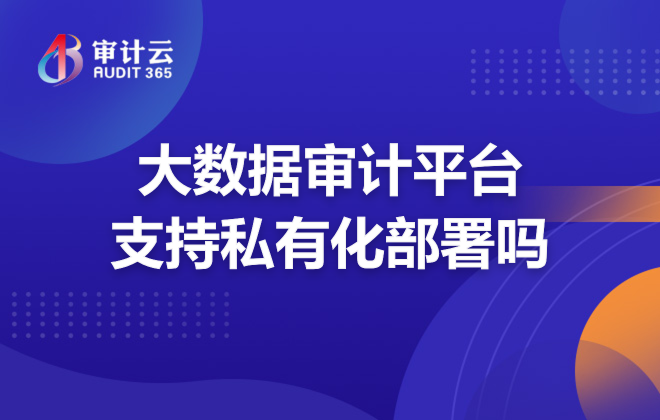 大数据审计平台支持私有化部署吗