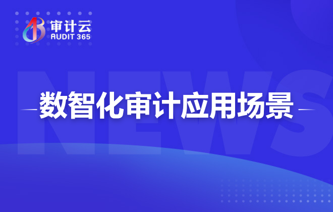 数智化审计应用场景