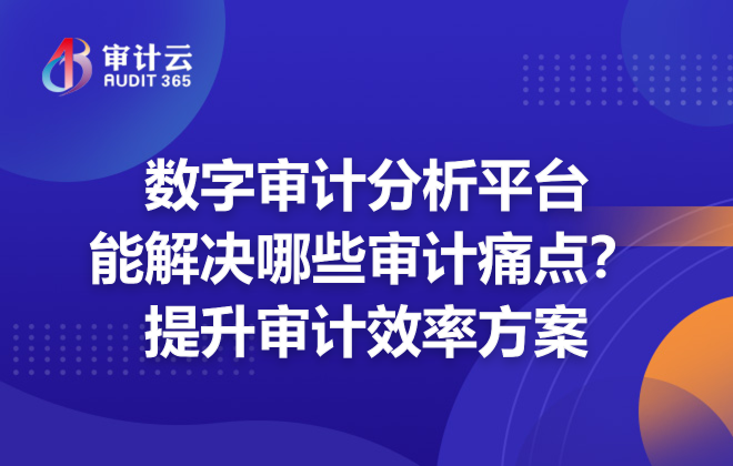 数字审计分析平台